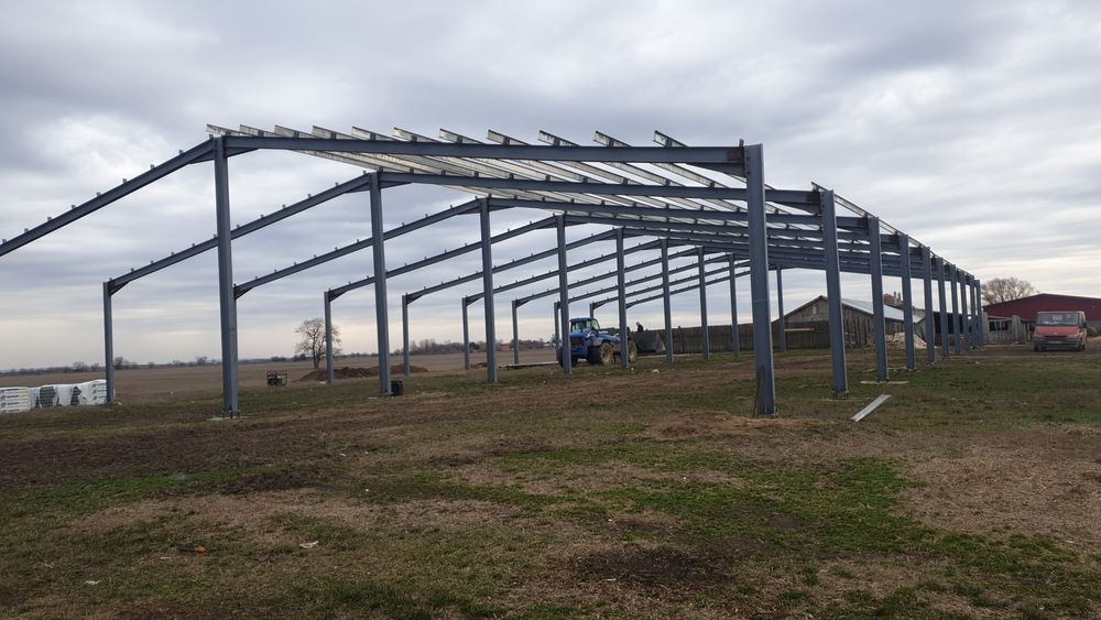 Vand hala metalică 10×25x4 și