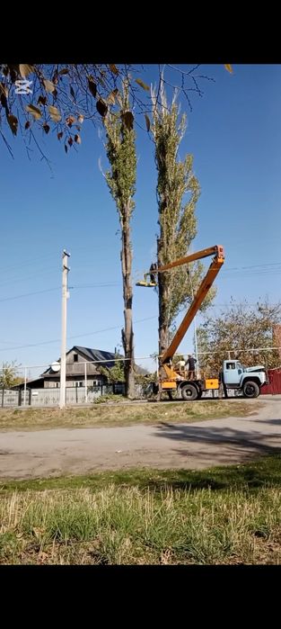 СПИЛ аварийных деревьев