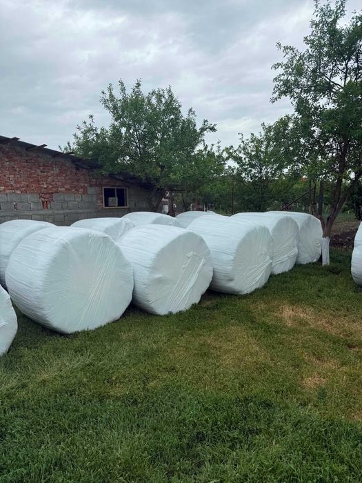 Baloti înfoliați de lucernă