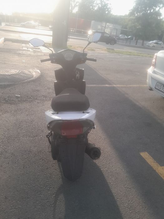Skutor xolati ideal