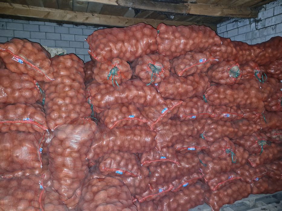 Продам  картофель