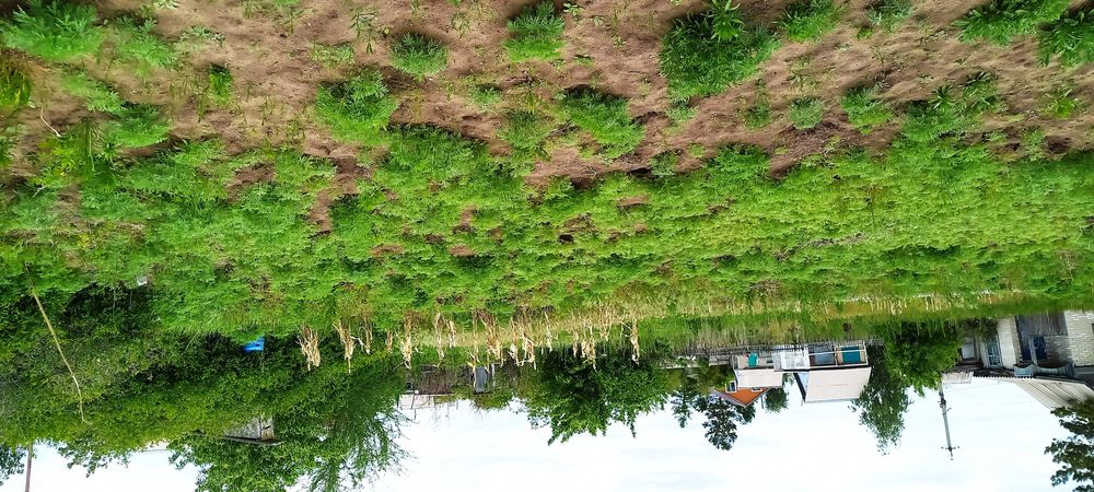 ДО Железобетонщик.