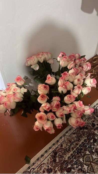 Цветов Роза   60 штук