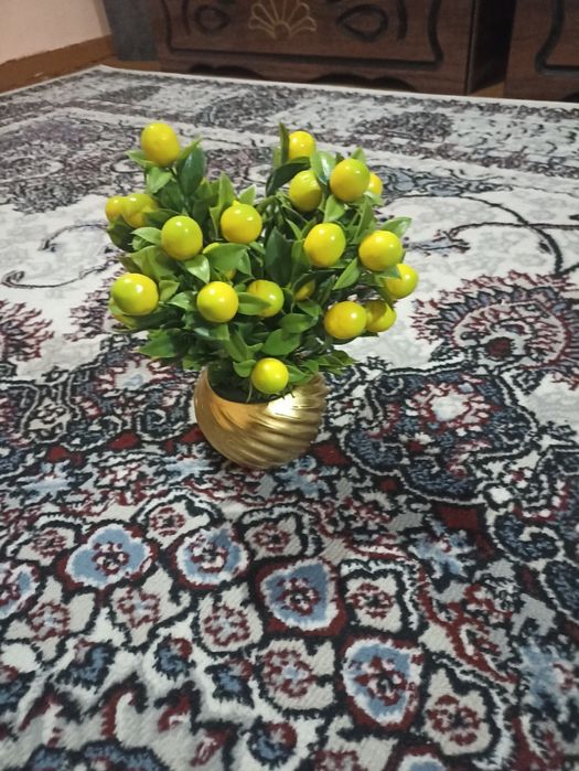 Dekorativ gullar narxlari  katta kichikligiga qarab chiqadi