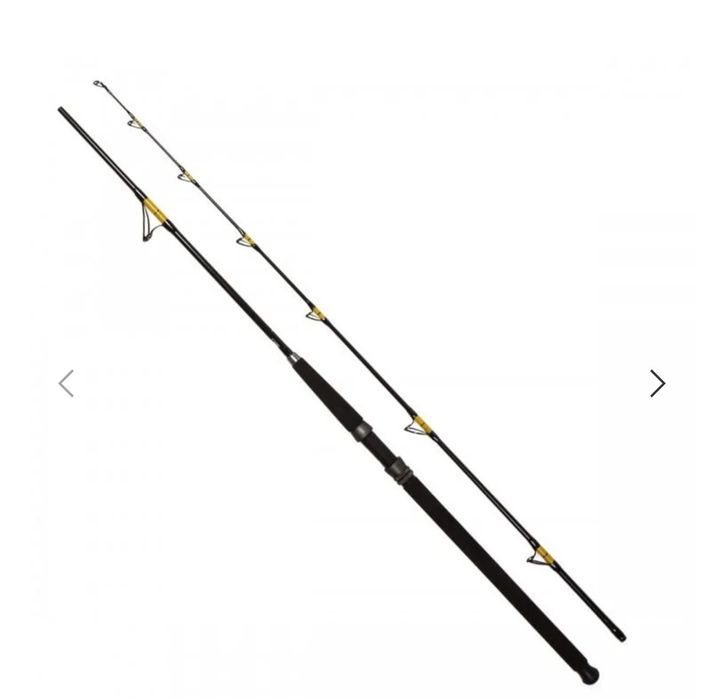 Въдица за сом  FL Catfish Passion Pro 2.70м