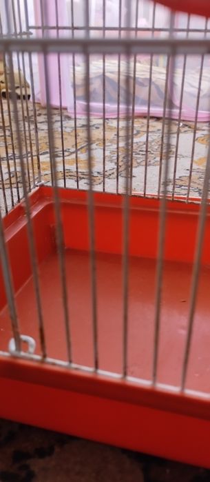 клетки старые от химиков