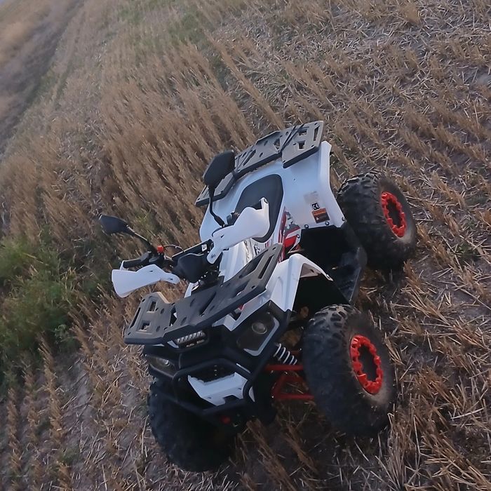 Vând RDB AY125cc