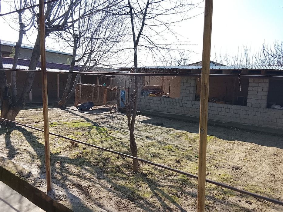 Nazarbek yer sotildi 4sotik