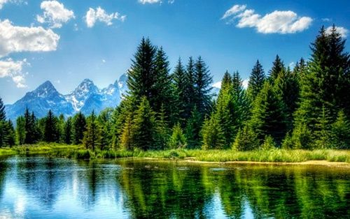 Продается участок 6 соток вместе  с.  кладовкой  10 х4