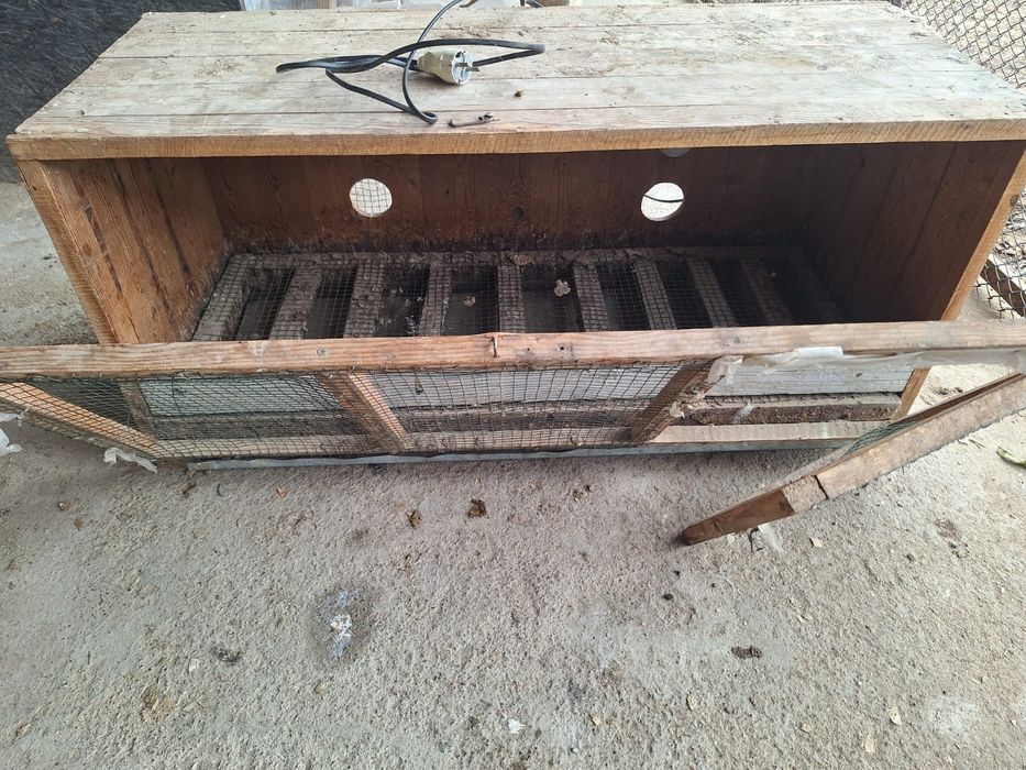 Брудер сатылады..