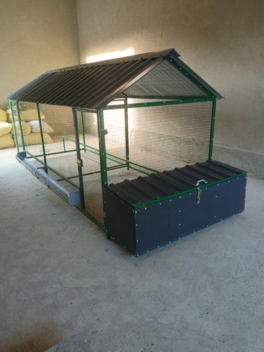 Tovuq katak zakazga
