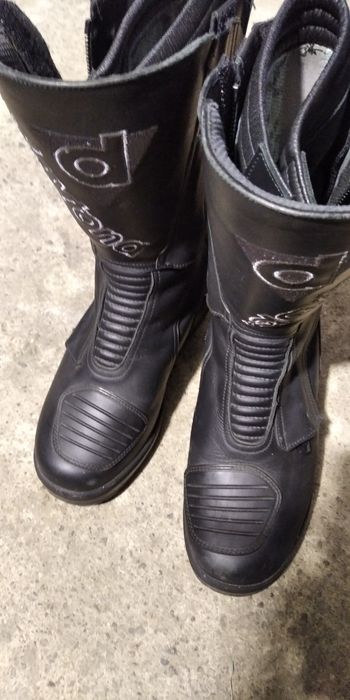 Daytona  lady star gtx