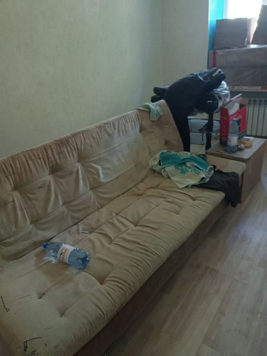 Отдам бесплатно, самовывоз