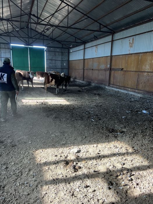 Продается крестьянское хозяйство