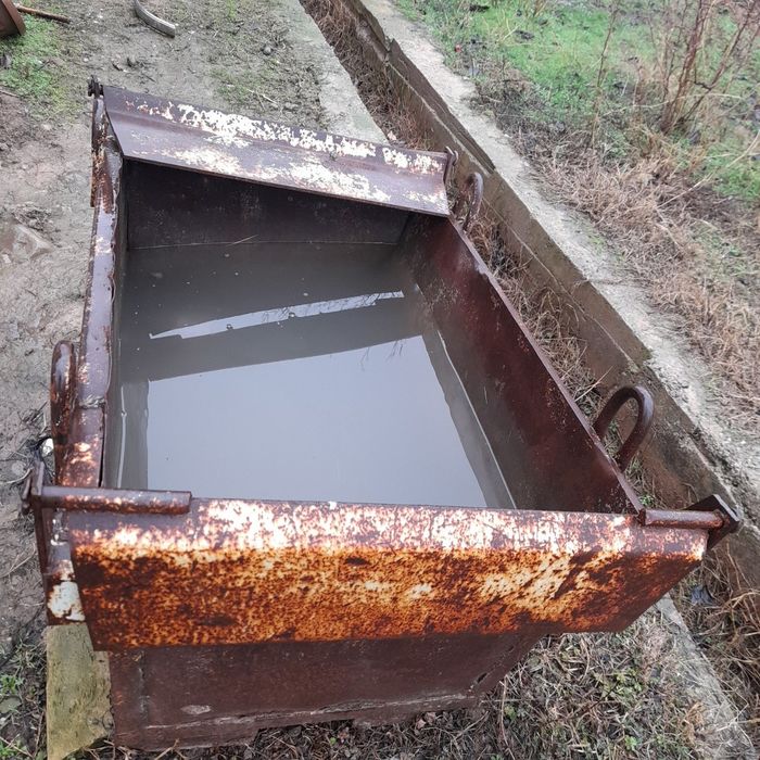 Бадия завитискый