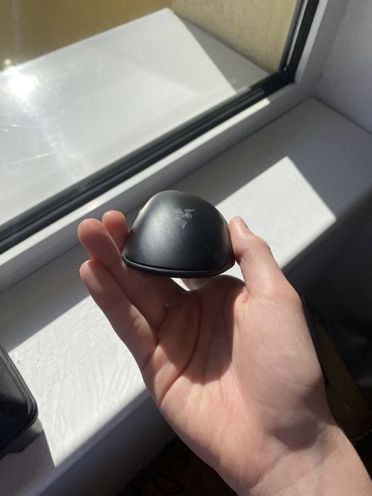 Razor mouse deathadder v2 mini