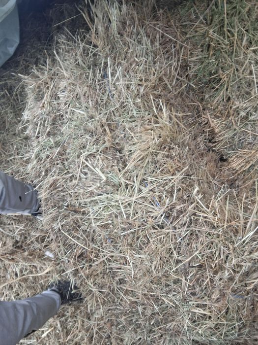 Baloti de fan de vanzare