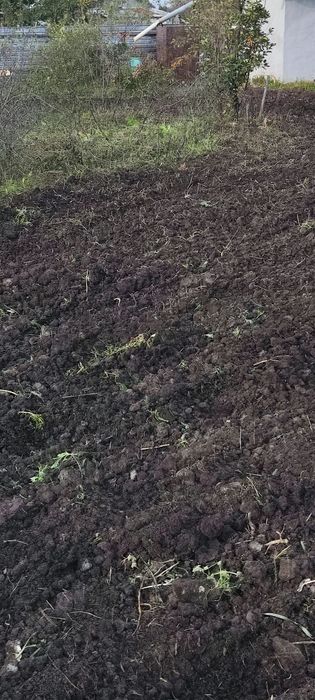 Продам дачу с баней в  СТ  Борки