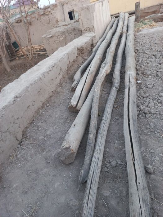 Jaydan chiqan kurgulak agash satiladi