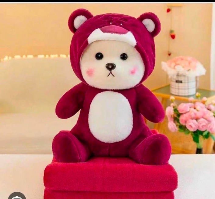 Мишки с пледом 3в1