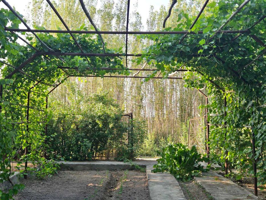 Продается дача 16,5 соток на Қуйи чирчиқ.