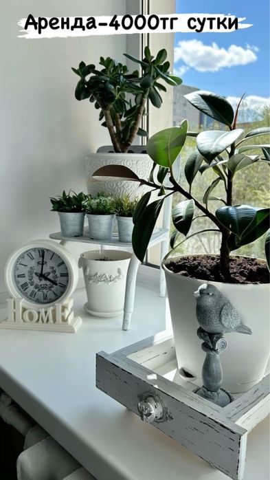 Робот мойщик окон