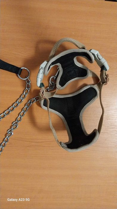 Ham DOG & DRESS marimea S si lesa lant 80 cm