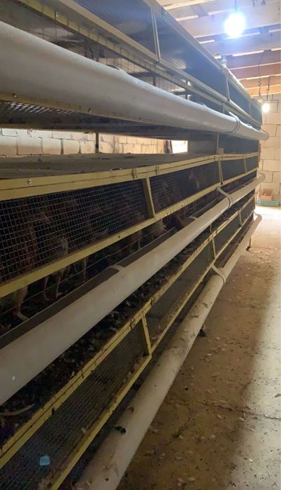 Продается дом-ферма-склад