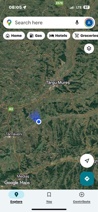 Plantație de coacăze negre de vânzare (afacere la cheie)