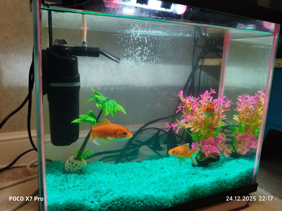 аквариум 18 литров