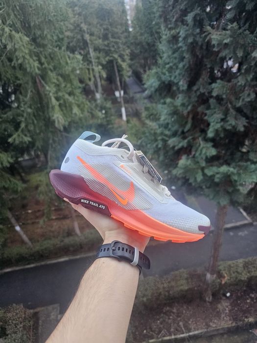 Nike Pegasus Trail 5 GTX 36