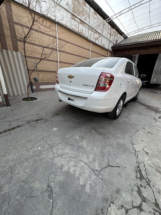 Cobalt Stayle sotiladi naxtga