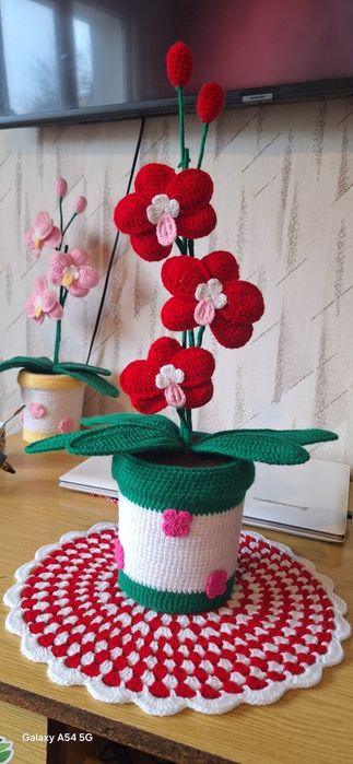 Орхидеи вечно красиви