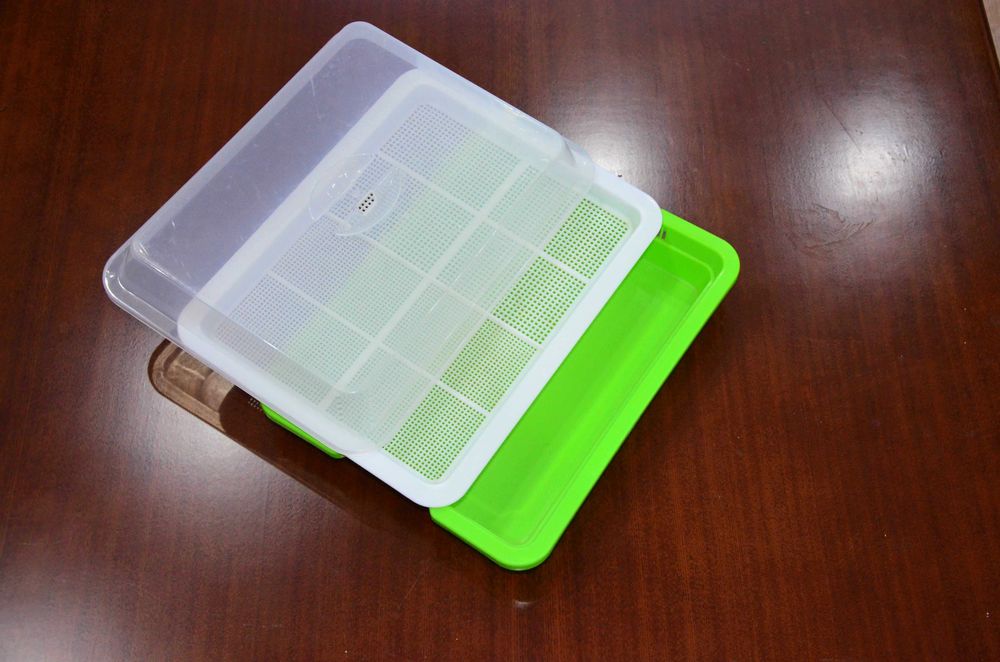 Проращиватель для микрозелени.