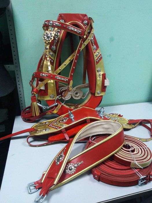 Упряжь парадная для лошади