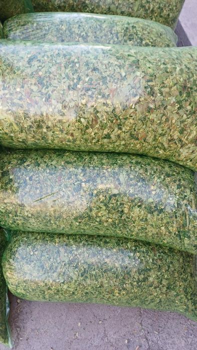 Donli silos bor narx 800so‘m