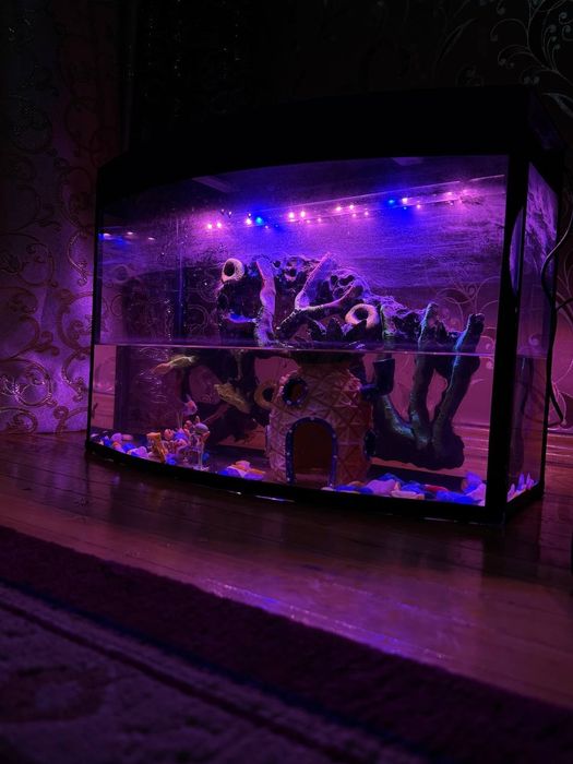 Продаётся аквариум