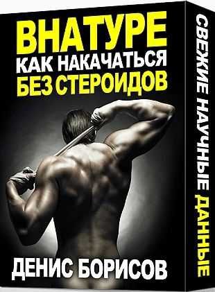 Книги Дениса Борисова