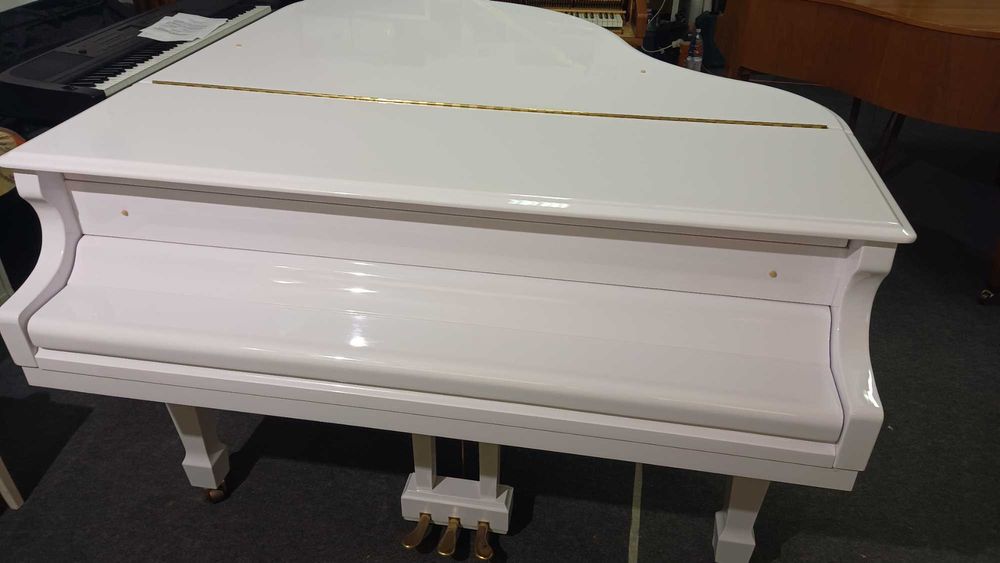 Vand pian Euterpe by C. Bechstein (ca nou)