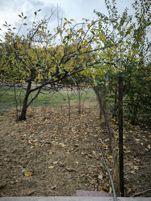 Земельный участок под строительство дома