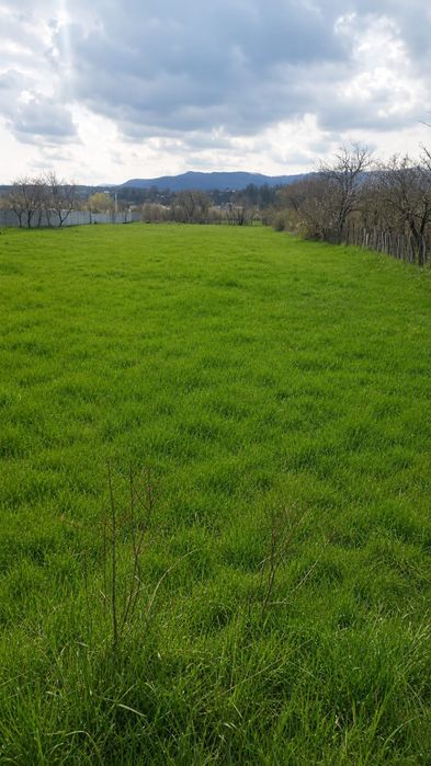 Teren intravilan 3.187 mp, strada Pacurari, mun. Moinesti
