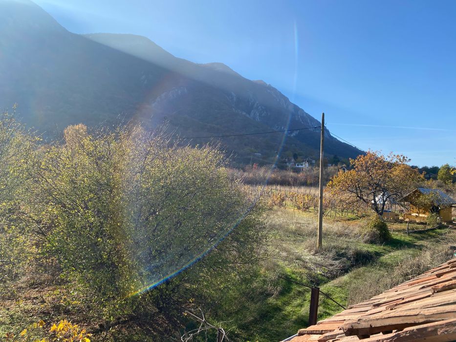 Вила до Враца в местността Под Балкана