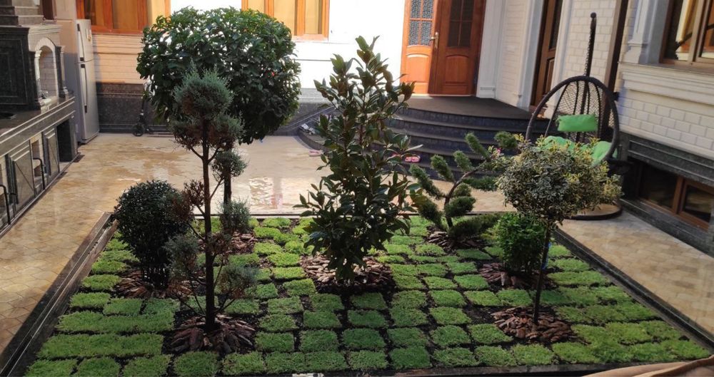 Газон ландшафт дизайн