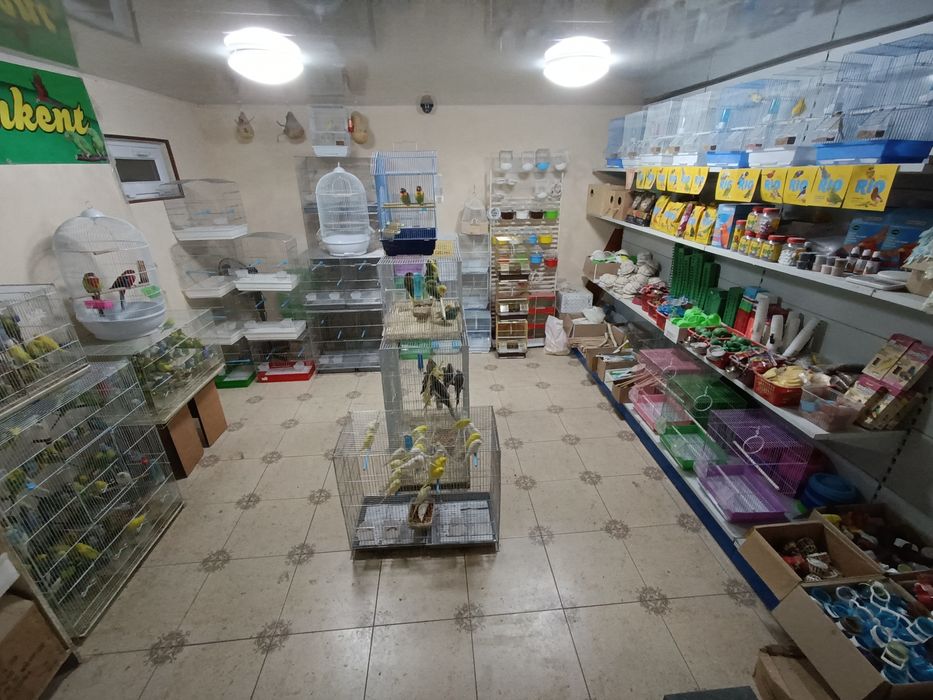 Попугай волнистые сатылалды