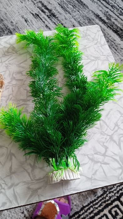 Продам декларации для аквариума