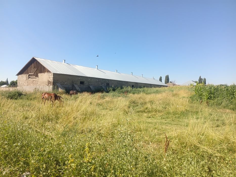 Продаю Зернохранилищный склад