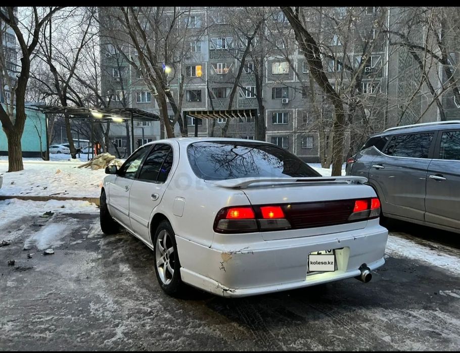 Продам  Лошадь Айгыр Жеребчик Тай