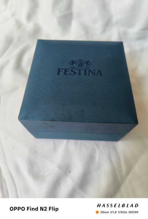 Ceas bărbătesc Festina