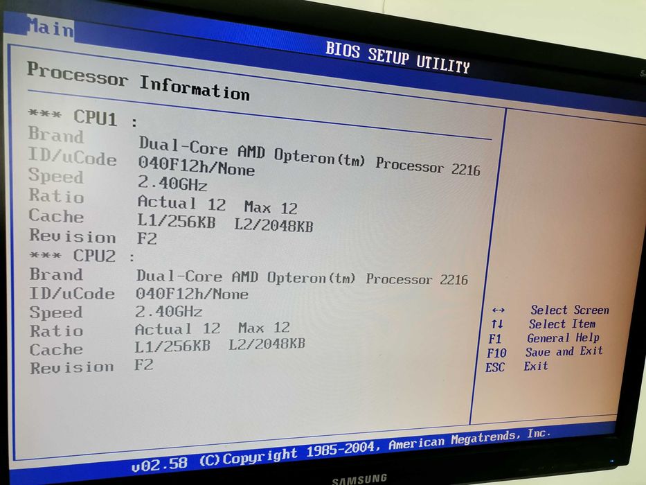 Server Asus RS161-E4 dual CPU Opteron + 8x2Gb - 16 Gb Ram