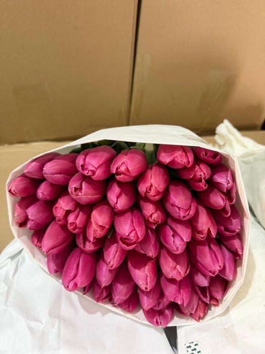 Тюльпаны оптом и в розницу